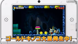 Illustration for article titled New Super Mario Bros 2 DLC Announced